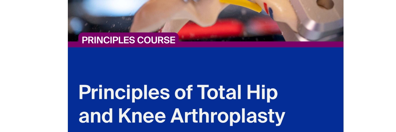     Ao Recon Course—Principles Of Total Hip And Knee Arthroplasty (Greece)
