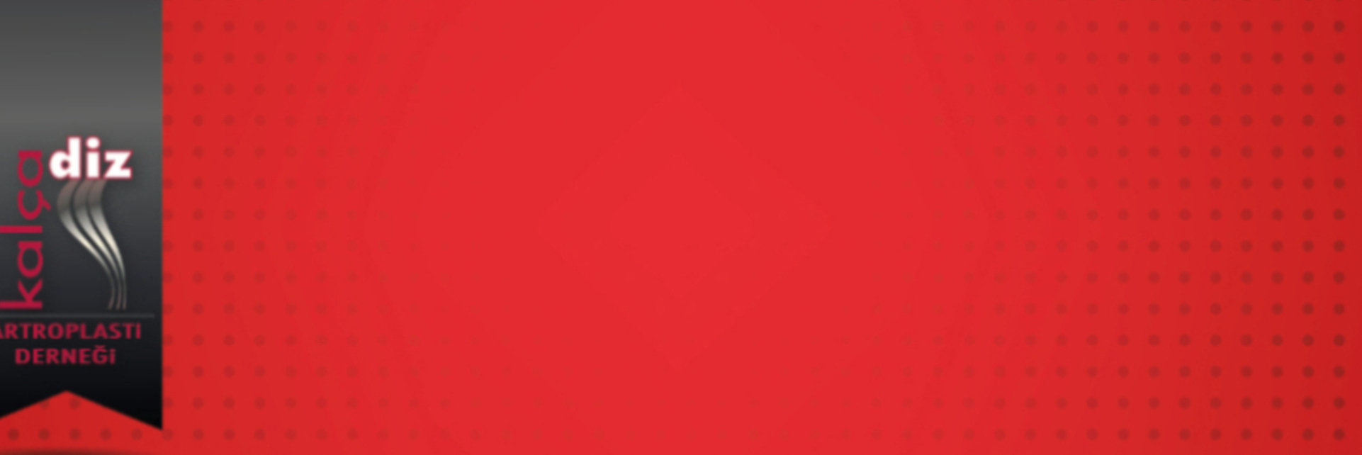 20. Temel Artroplasti Kursu, Ankara