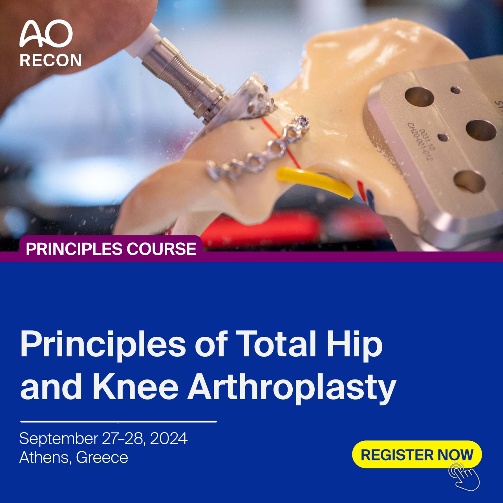 AO Recon Course-Principles of Total Hip and Knee Arthroplasty, Greece