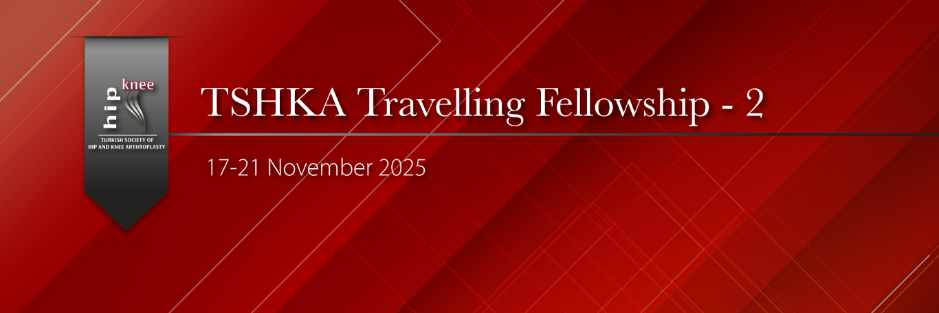 Travelling Fellowship – 2, Istanbul, Ankara